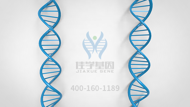 <b>【佳學(xué)基因檢測(cè)</b>